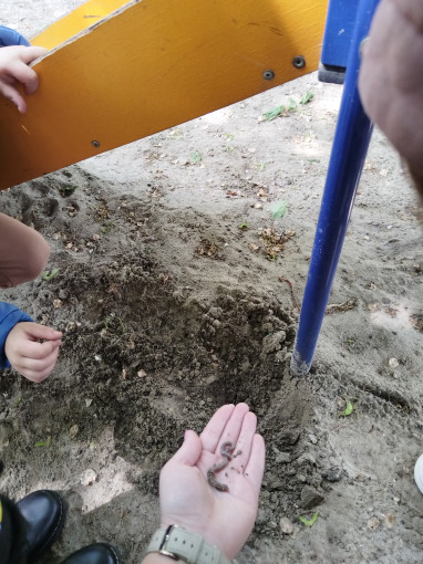 «Познаём природу» «Познаём природу».